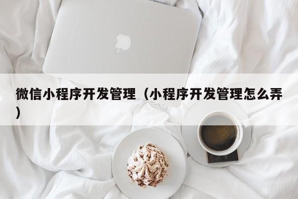 微信小程序开发管理（小程序开发管理怎么弄）