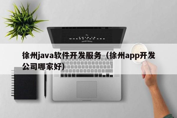 徐州java软件开发服务（徐州app开发公司哪家好）