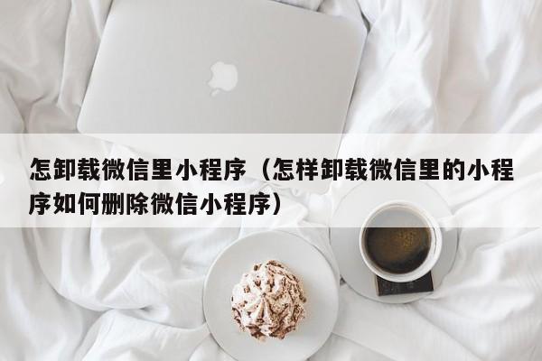 怎卸载微信里小程序(怎样卸载微信里的小程序如何删除微信小程序)