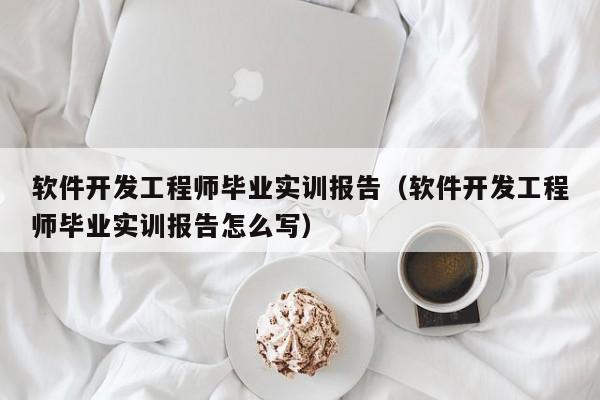 软件开发工程师毕业实训报告(软件开发工程师毕业实训报告怎么写)