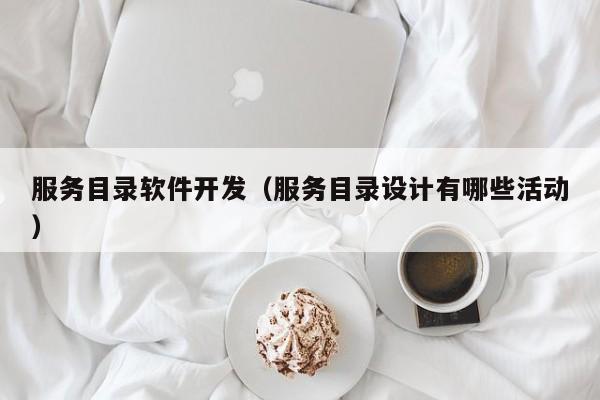 服务目录软件开发（服务目录设计有哪些活动）