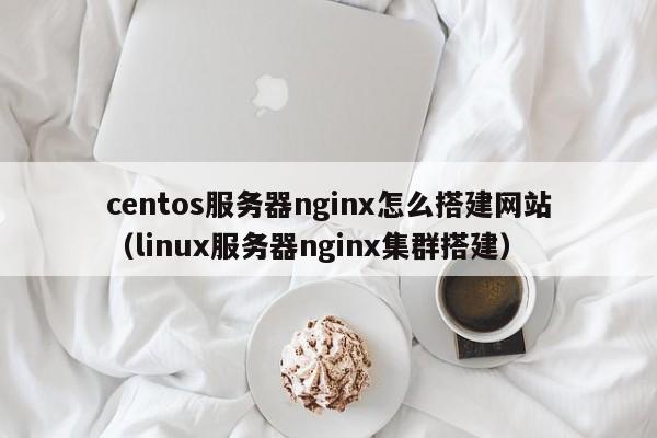 centos服务器nginx怎么搭建网站(linux服务器nginx集群搭建)