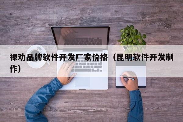 禄劝品牌软件开发厂家价格（昆明软件开发制作）