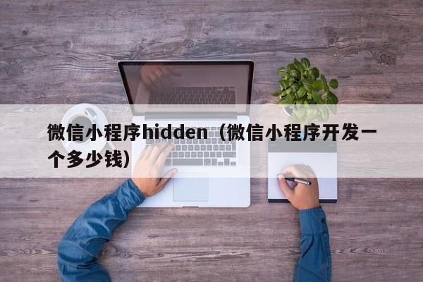 微信小程序hidden(微信小程序开发一个多少钱)