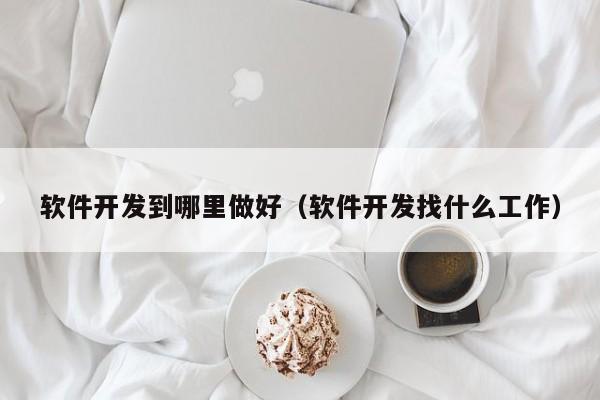 软件开发到哪里做好（软件开发找什么工作）