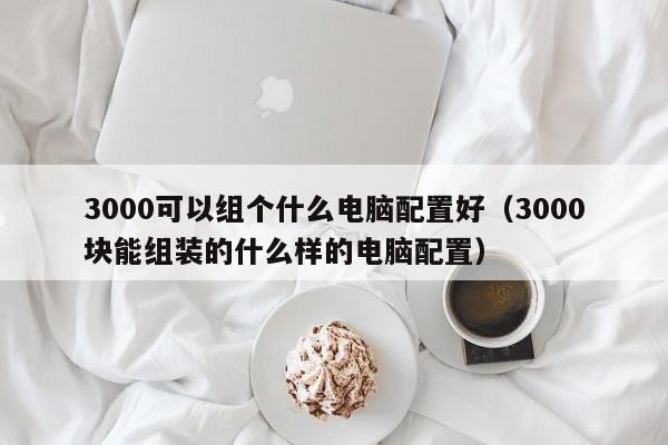 3000可以组个什么电脑配置好(3000块能组装的什么样的电脑配置)