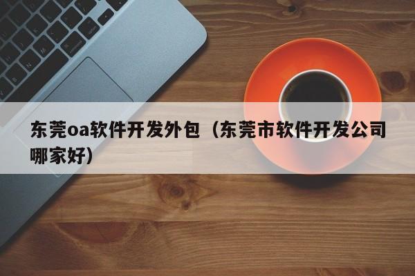 东莞oa软件开发外包（东莞市软件开发公司哪家好）