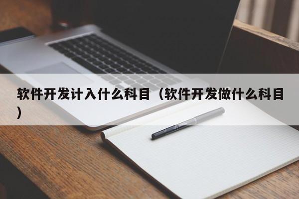 软件开发计入什么科目（软件开发做什么科目）