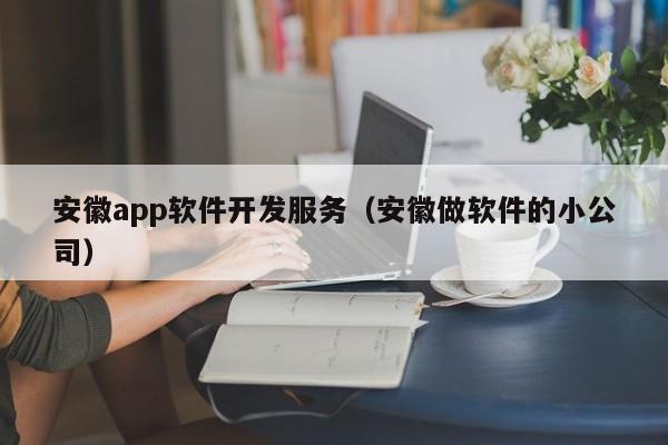 安徽app软件开发服务（安徽做软件的小公司）