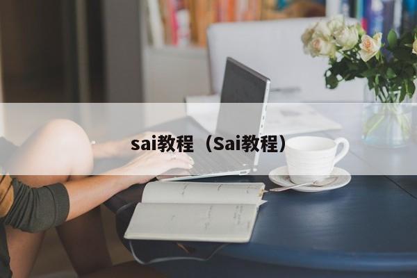 sai教程(Sai教程)