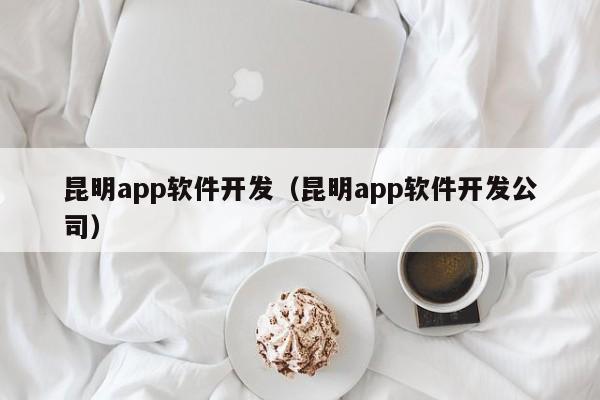 昆明app软件开发（昆明app软件开发公司）