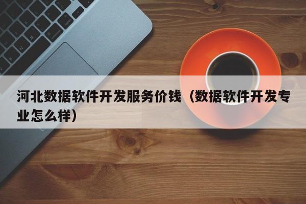 河北数据软件开发服务价钱(数据软件开发专业怎么样)