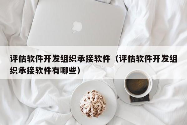 评估软件开发组织承接软件（评估软件开发组织承接软件有哪些）