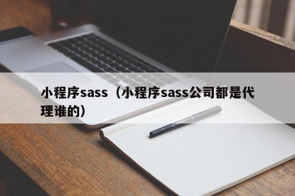 小程序sass(小程序sass公司都是代理谁的)