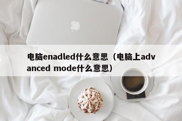 电脑enadled什么意思(电脑上advanced mode什么意思)