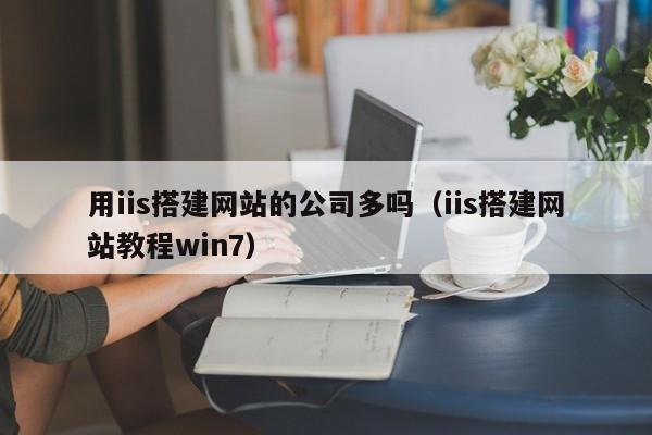 用iis搭建网站的公司多吗（iis搭建网站教程win7）