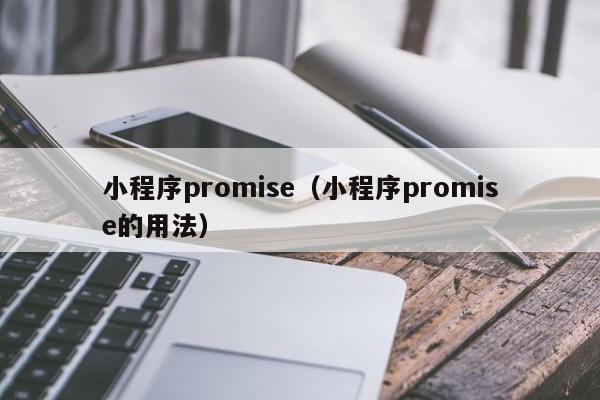 小程序promise(小程序promise的用法)