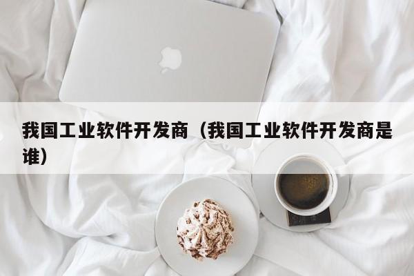 我国工业软件开发商（我国工业软件开发商是谁）