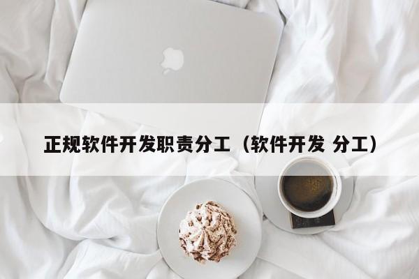 正规软件开发职责分工(软件开发 分工)