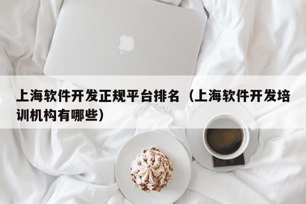 上海软件开发正规平台排名（上海软件开发培训机构有哪些）
