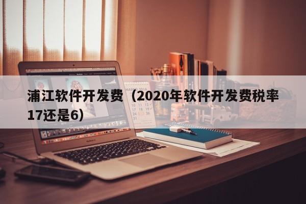 浦江软件开发费(2020年软件开发费税率17还是6)