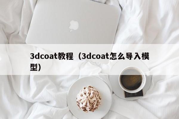 3dcoat教程(3dcoat怎么导入模型)