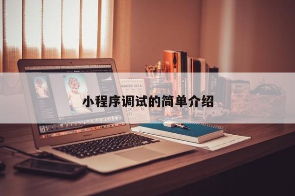 小程序调试的简单介绍