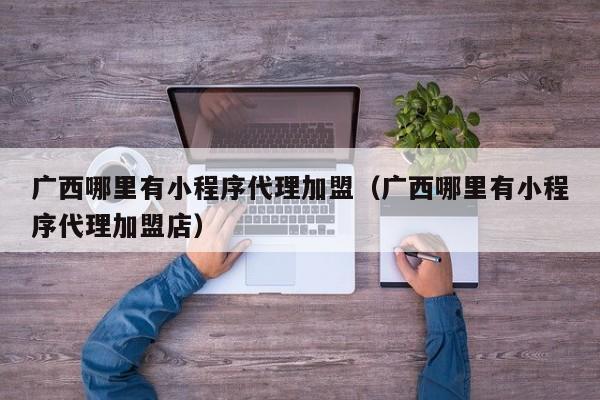 广西哪里有小程序代理加盟(广西哪里有小程序代理加盟店)