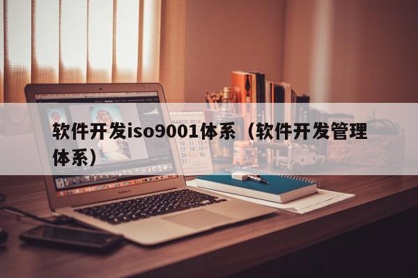 软件开发iso9001体系（软件开发管理体系）