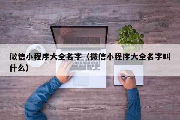 微信小程序大全名字(微信小程序大全名字叫什么)
