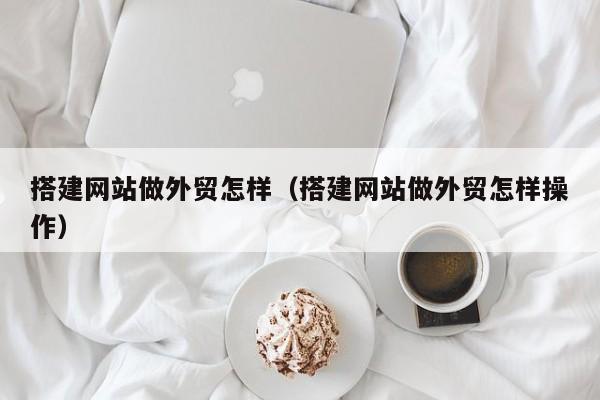搭建网站做外贸怎样（搭建网站做外贸怎样操作）