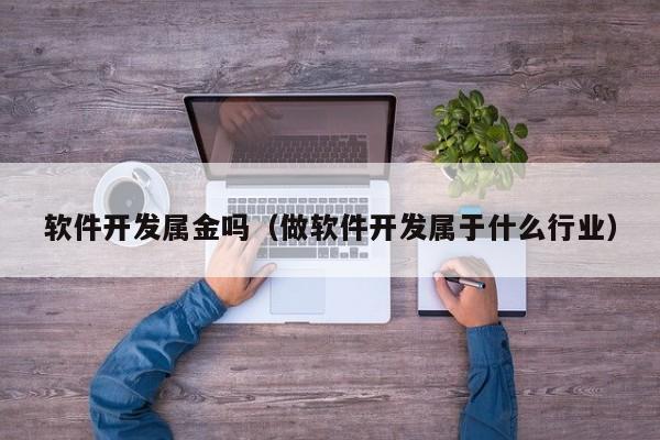 软件开发属金吗（做软件开发属于什么行业）