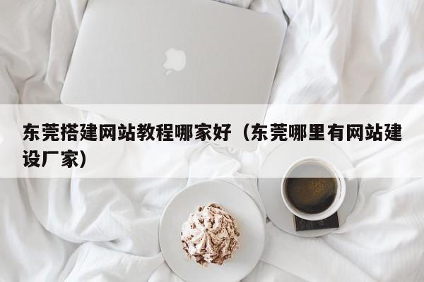 东莞搭建网站教程哪家好（东莞哪里有网站建设厂家）