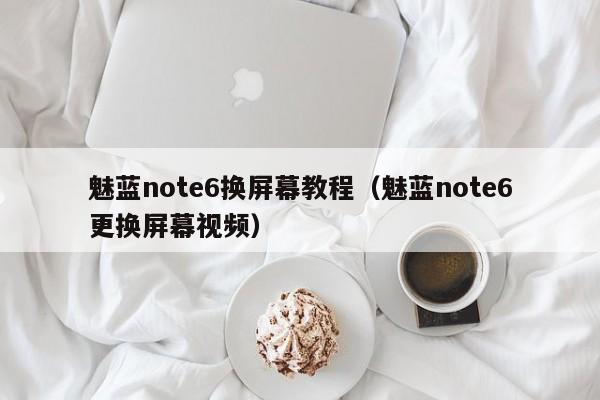 魅蓝note6换屏幕教程(魅蓝note6更换屏幕视频)