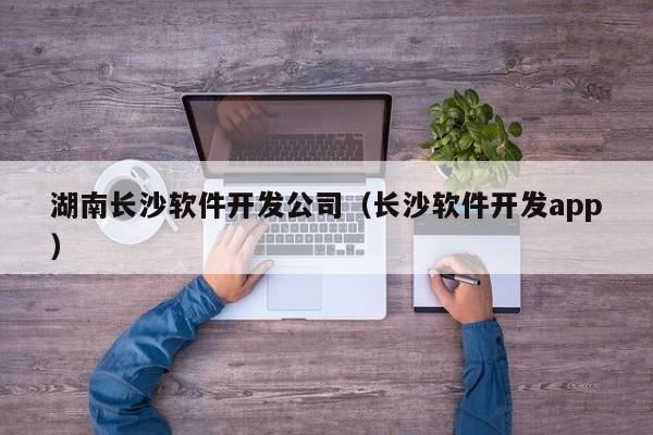 湖南长沙软件开发公司（长沙软件开发app）