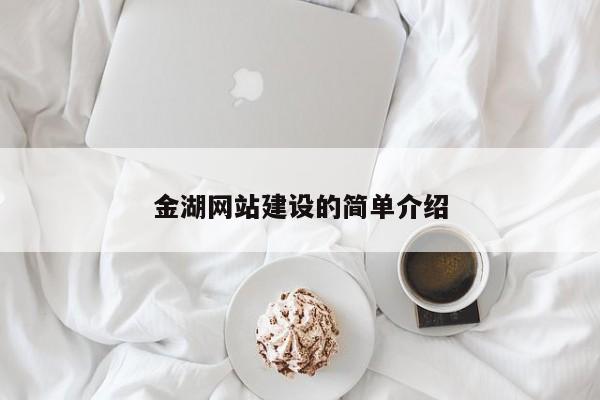 金湖网站建设的简单介绍