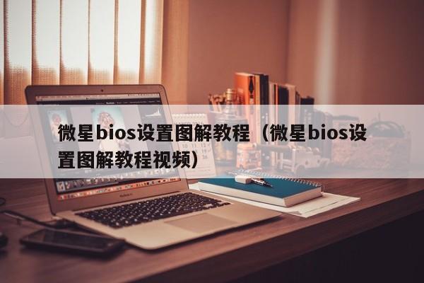 微星bios设置图解教程（微星bios设置图解教程视频）