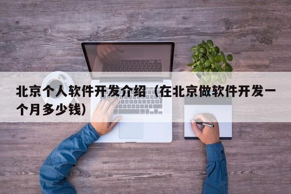 北京个人软件开发介绍（在北京做软件开发一个月多少钱）