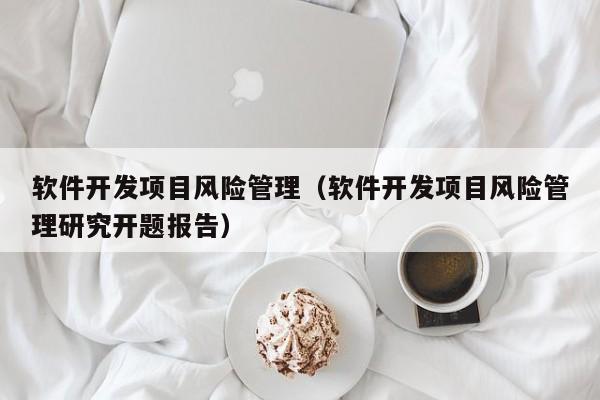 软件开发项目风险管理（软件开发项目风险管理研究开题报告）