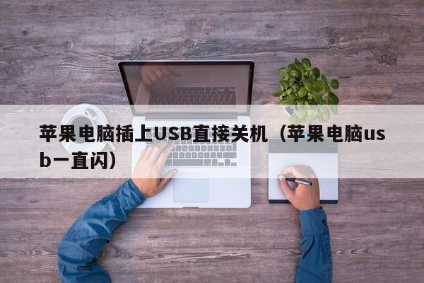苹果电脑插上USB直接关机(苹果电脑usb一直闪)