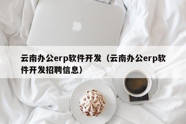 云南办公erp软件开发（云南办公erp软件开发招聘信息）