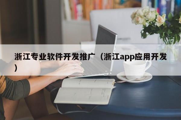 浙江专业软件开发推广(浙江app应用开发)