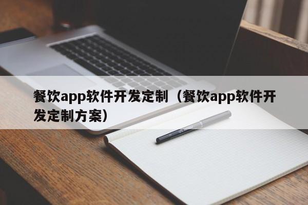 餐饮app软件开发定制（餐饮app软件开发定制方案）