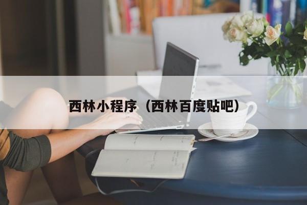 西林小程序(西林百度贴吧)