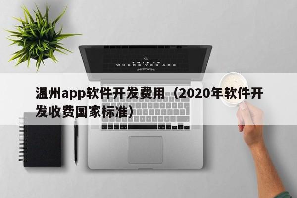 温州app软件开发费用（2020年软件开发收费国家标准）