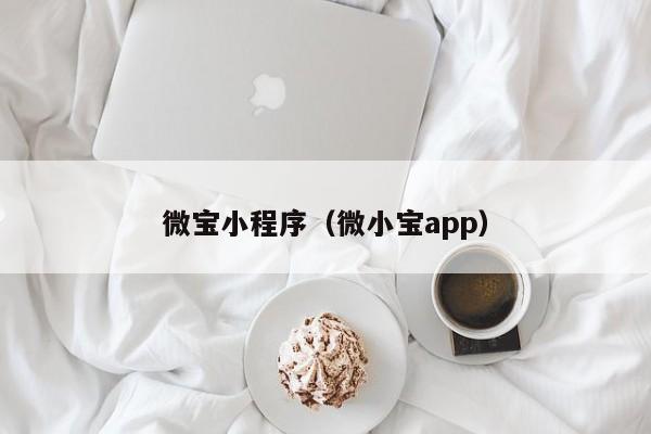 微宝小程序（微小宝app）