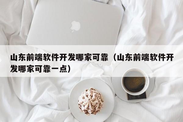 山东前端软件开发哪家可靠（山东前端软件开发哪家可靠一点）