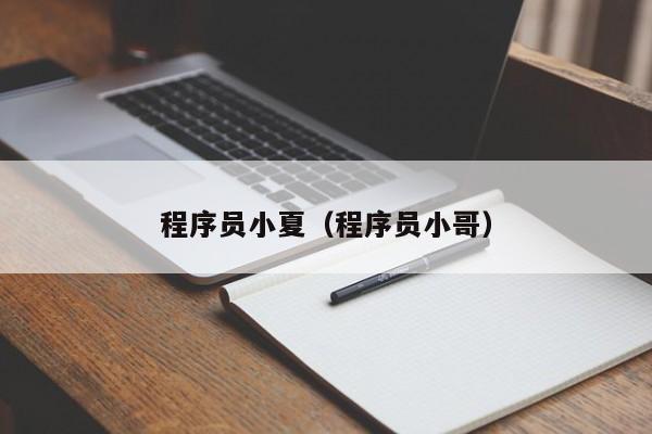 程序员小夏（程序员小哥）