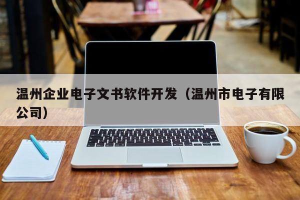 温州企业电子文书软件开发（温州市电子有限公司）