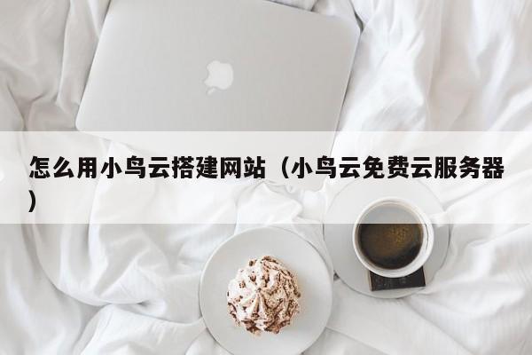 怎么用小鸟云搭建网站（小鸟云免费云服务器）